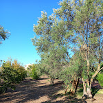 Photo n°3 de l'avis de Jacqui. fait le 13/09/2023 à 16:33 sur le  Parco Degli Ulivi à Arzachena