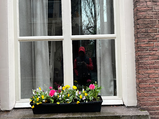 Florist «Halls of Tara Florist», reviews and photos, 2051 Centre St, West Roxbury, MA 02132, USA