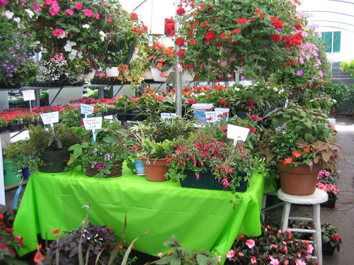 Fruit Of The Bloom Garden Center