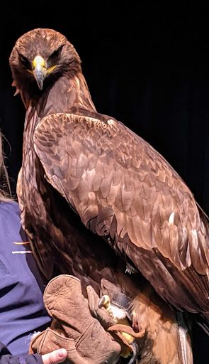 Performing Arts Theater «Princess Theatre», reviews and photos, 112 2nd Ave NE, Decatur, AL 35601, USA