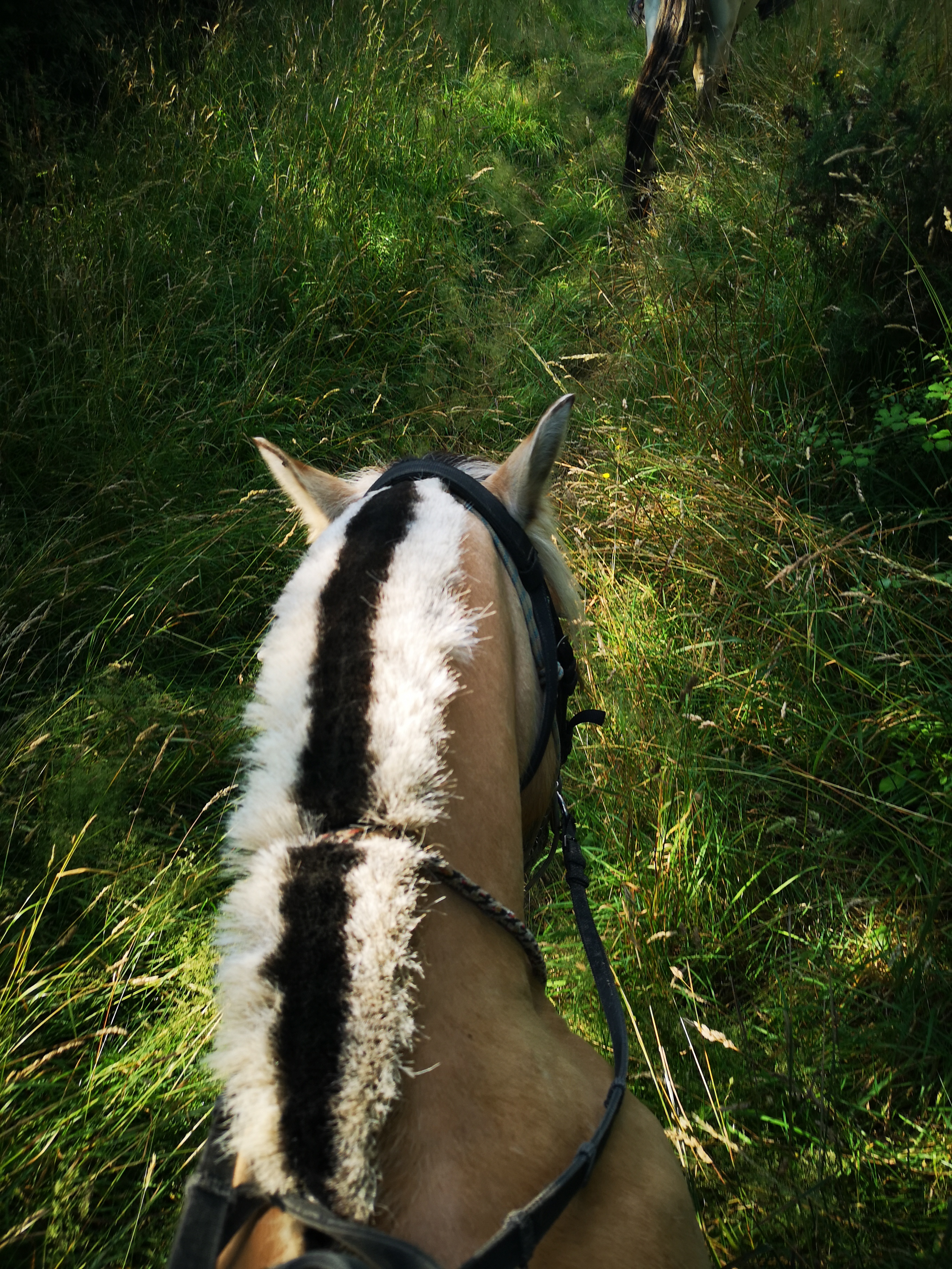 Photo n° 1 de l'avis de Blandine.. fait le 11/07/2019 à 18:59