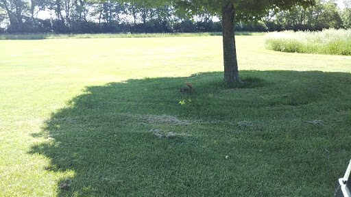 Golf Club «University Club of Kentucky», reviews and photos, 4850 Leestown Road, Lexington, KY 40511, USA