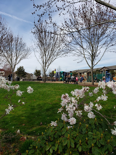 Park «Magnolia Park», reviews and photos, 1810 NW 192nd Ave, Hillsboro, OR 97124, USA