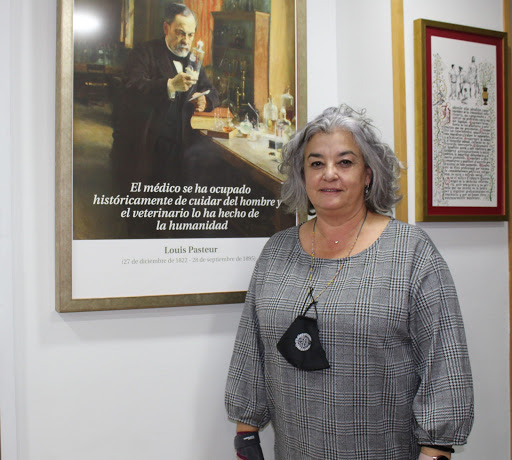 Colegio Oficial de Veterinarios de Murcia en Murcia