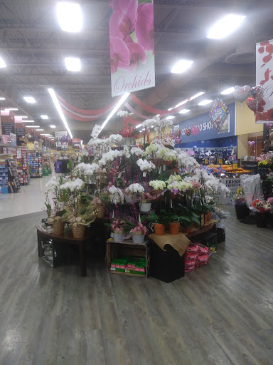 Grocery Store «Tom Thumb», reviews and photos, 612 Grapevine Hwy, Hurst, TX 76054, USA