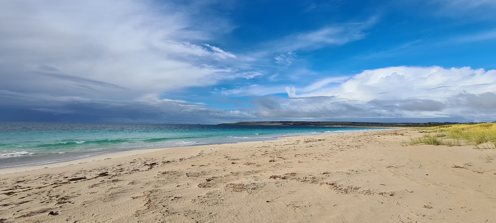 Antechamber Bay Beach的照片 带有明亮的沙子表面