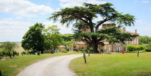 attractions Château de Terride - Domaine Viticole à Gaillac BIO - Vins de Gaillac - vignoble Tarn Puycelsi