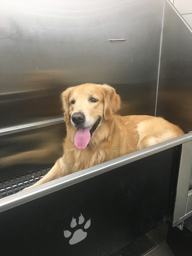 Pet Supply Store «Pet Supplies Plus», reviews and photos, 375 Paterson Ave #105, Wallington, NJ 07057, USA