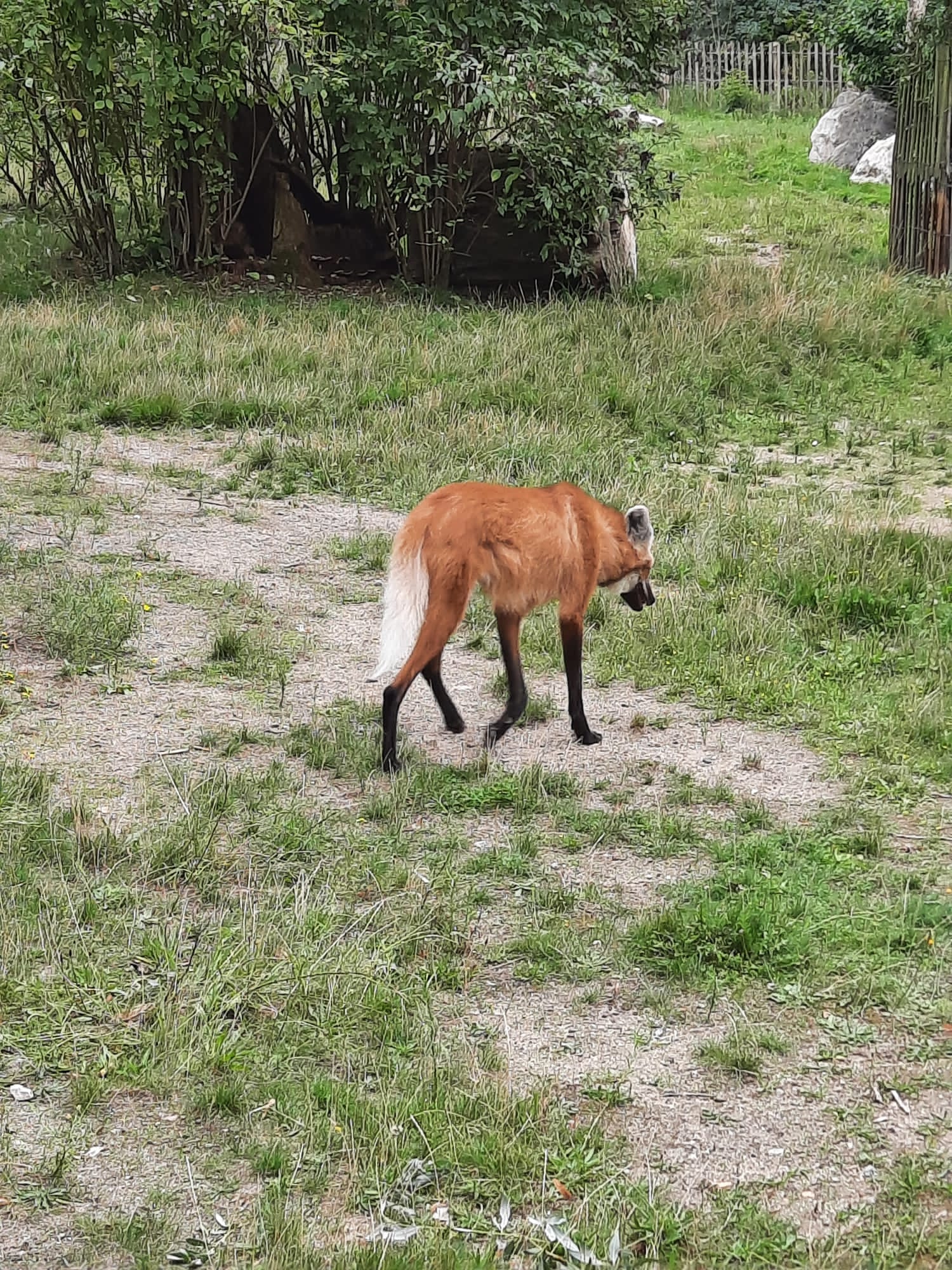 Photo n° 2 de l'avis de Sylvie. fait le 20/08/2023 à 06:35
