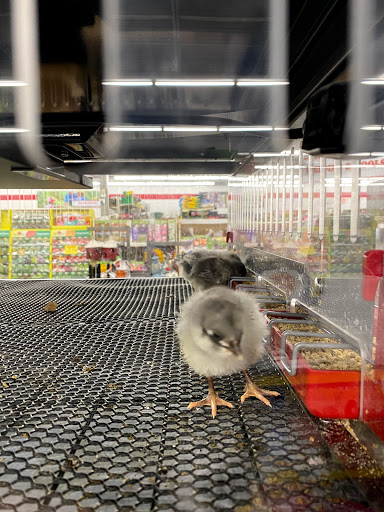 Home Improvement Store «Tractor Supply Co.», reviews and photos, 1360 Strickler Rd, Mount Joy, PA 17552, USA