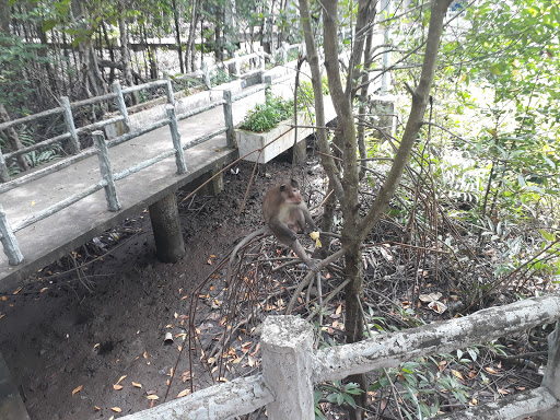 Top 20 cửa hàng play Huyện Cần Giờ Hồ Chí Minh 2022