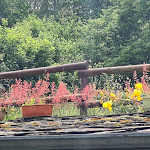 Photo n°8 de l'avis de Mario.o fait le 10/06/2023 à 17:34 sur le  Dosso del Grillo à Ponte in Valtellina