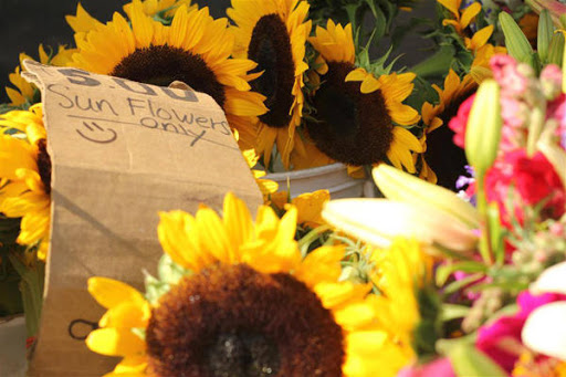 Produce Market «Maple Grove Farmers Market», reviews and photos, 12951 Weaver Lake Rd, Maple Grove, MN 55369, USA