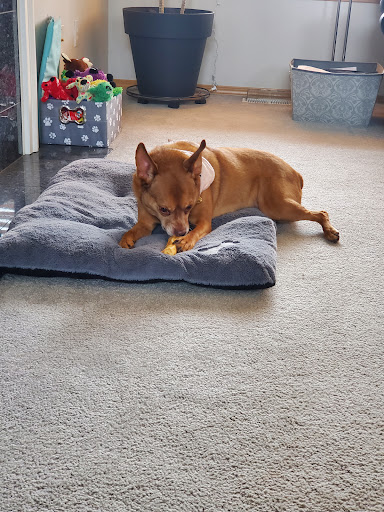 Animal Feed Store «Reber Ranch», reviews and photos, 28606 132nd Ave SE, Kent, WA 98042, USA