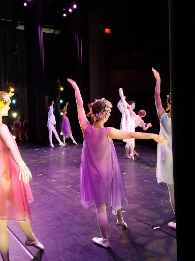 Dance School «Philadelphia Dance Theatre», reviews and photos, 7500 Germantown Ave, Philadelphia, PA 19119, USA