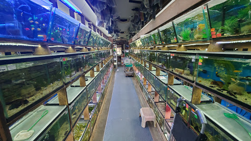 Tropical Fish Store «Emmons Tropical Fish & Ponds», reviews and photos, 1612 Hopmeadow St, Simsbury, CT 06070, USA