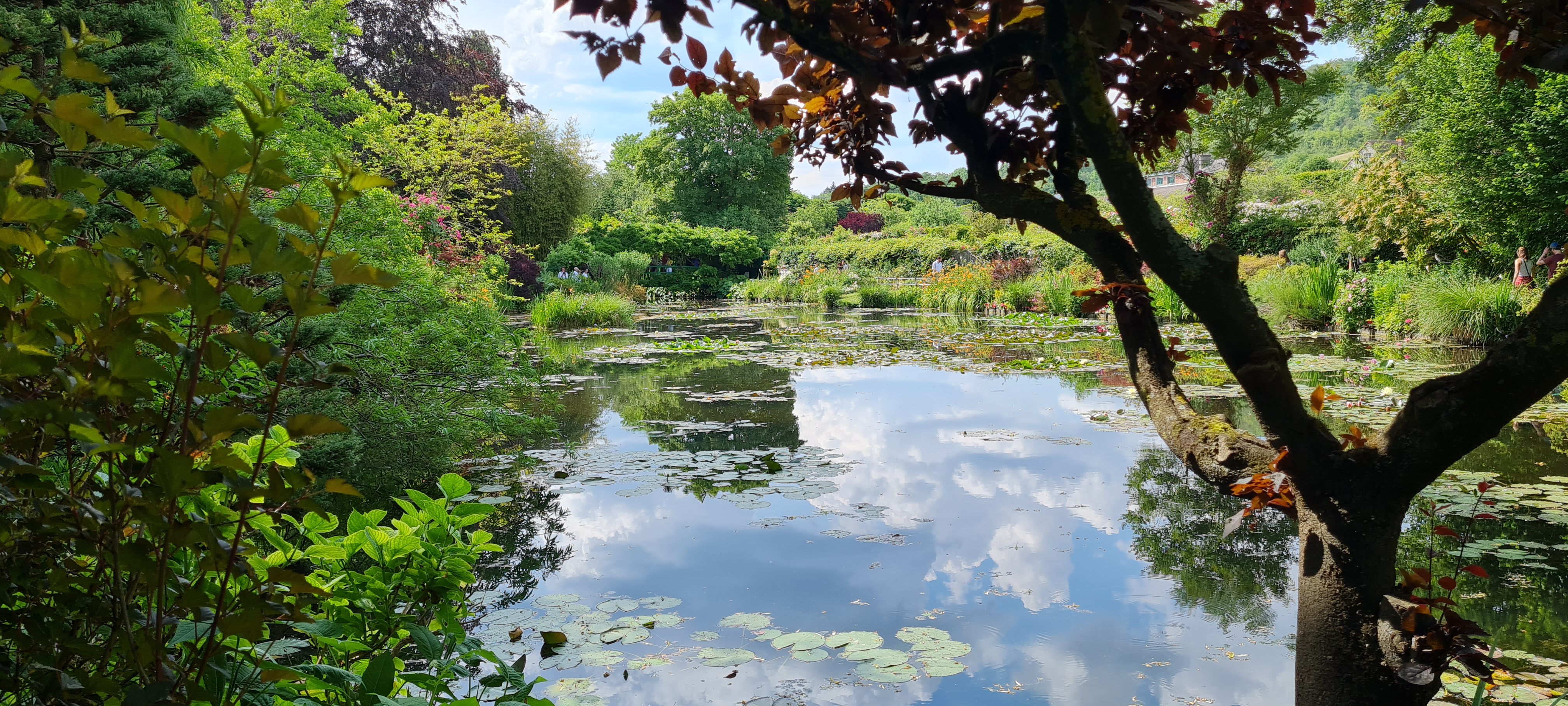 Photo n° 7 de l'avis de Romain. fait le 11/06/2023 à 16:16