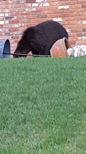 Golf Course «Berkshire Valley Golf Course», reviews and photos, 28 Cozy Lake Rd, Oak Ridge, NJ 07438, USA