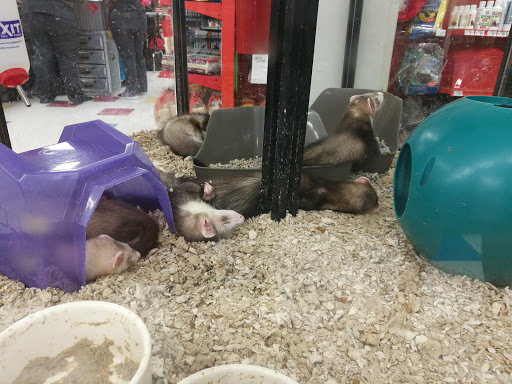 Pet Supply Store «Petco Animal Supplies», reviews and photos, 825 Hartford Turnpike, Waterford, CT 06385, USA