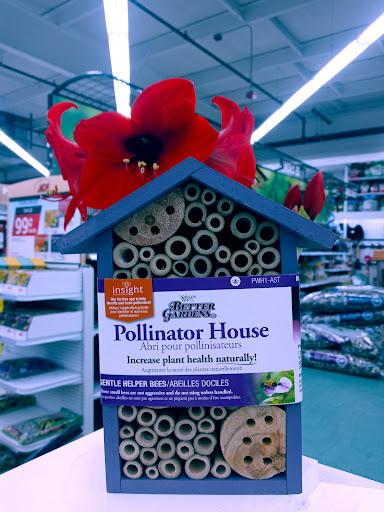 Hardware Store «Fernandes Lumber Inc», reviews and photos, 299 Depot St, South Easton, MA 02375, USA