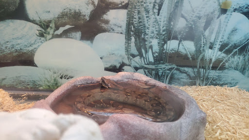 Pet Store «Cody PET DEPOT», reviews and photos, 556 Yellowstone Ave, Cody, WY 82414, USA