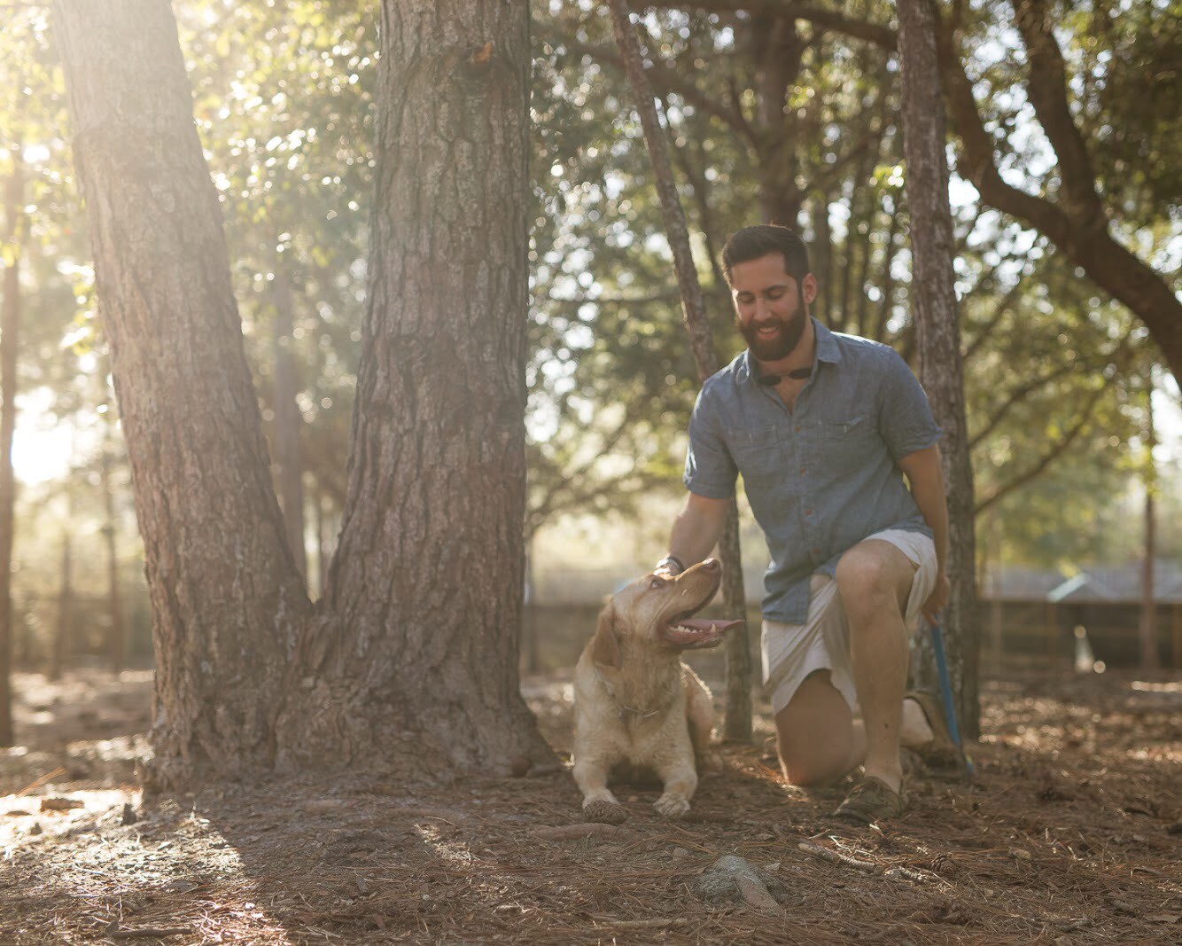 The Prodigal Pooch