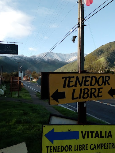 Tenedor Libre Vitalia's - Restaurante