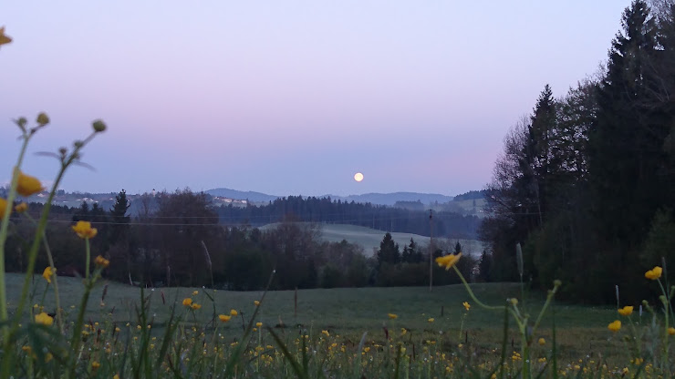 Photo Ferienwohnung Ferienwohnung Reinke 88167 Stiefenhofen