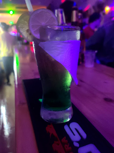 The bear discoteca