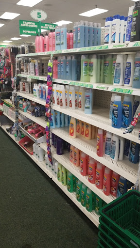 Dollar Store «Dollar Tree», reviews and photos, 10600 France Ave S, Bloomington, MN 55431, USA