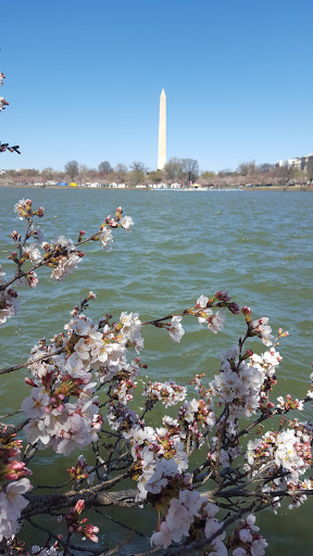 Monument «Thomas Jefferson Memorial», reviews and photos, 701 E Basin Dr SW, Washington, DC 20242, USA