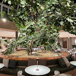 Photo n°16 de l'avis de Jorge.. fait le 09/01/2024 à 05:25 sur le  Hilton Garden Inn Bologna North à Quarto Inferiore