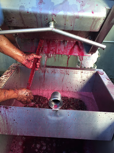 Winery «Stephen & Walker Winery», reviews and photos, 243 Healdsburg Ave, Healdsburg, CA 95448, USA