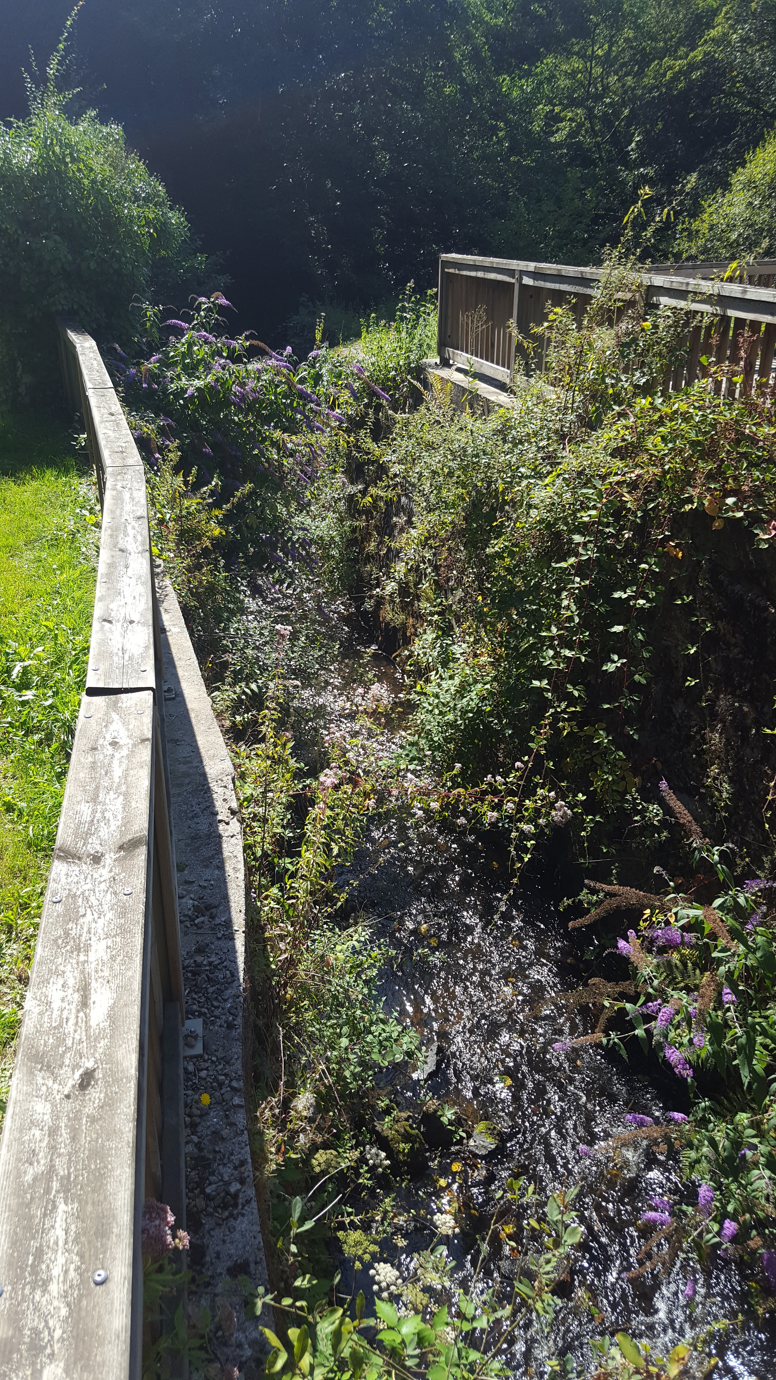 Photo n° 4 de l'avis de Chris.e fait le 31/08/2019 à 17:44