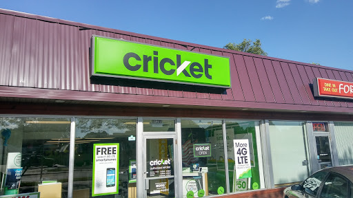Cricket Wireless Authorized Retailer, 1209 Vermillion St, Hastings, MN 55033, USA, 