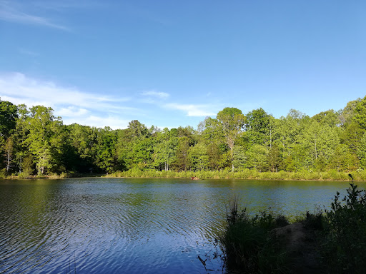 Reedy Creek Park