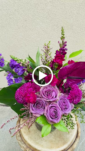 Gymnastics Center «Redwood Empire Gymnastics», reviews and photos, 434 Payran St, Petaluma, CA 94952, USA