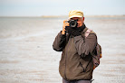 les phoques en baie de Somme avec un guide Cayeux-sur-Mer