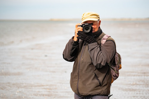 attractions les phoques en baie de Somme avec un guide Cayeux-sur-Mer