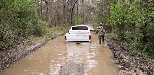 National Forest «Tuskegee National Forest», reviews and photos, 125 National Forest Rd 949, Tuskegee, AL 36083, USA