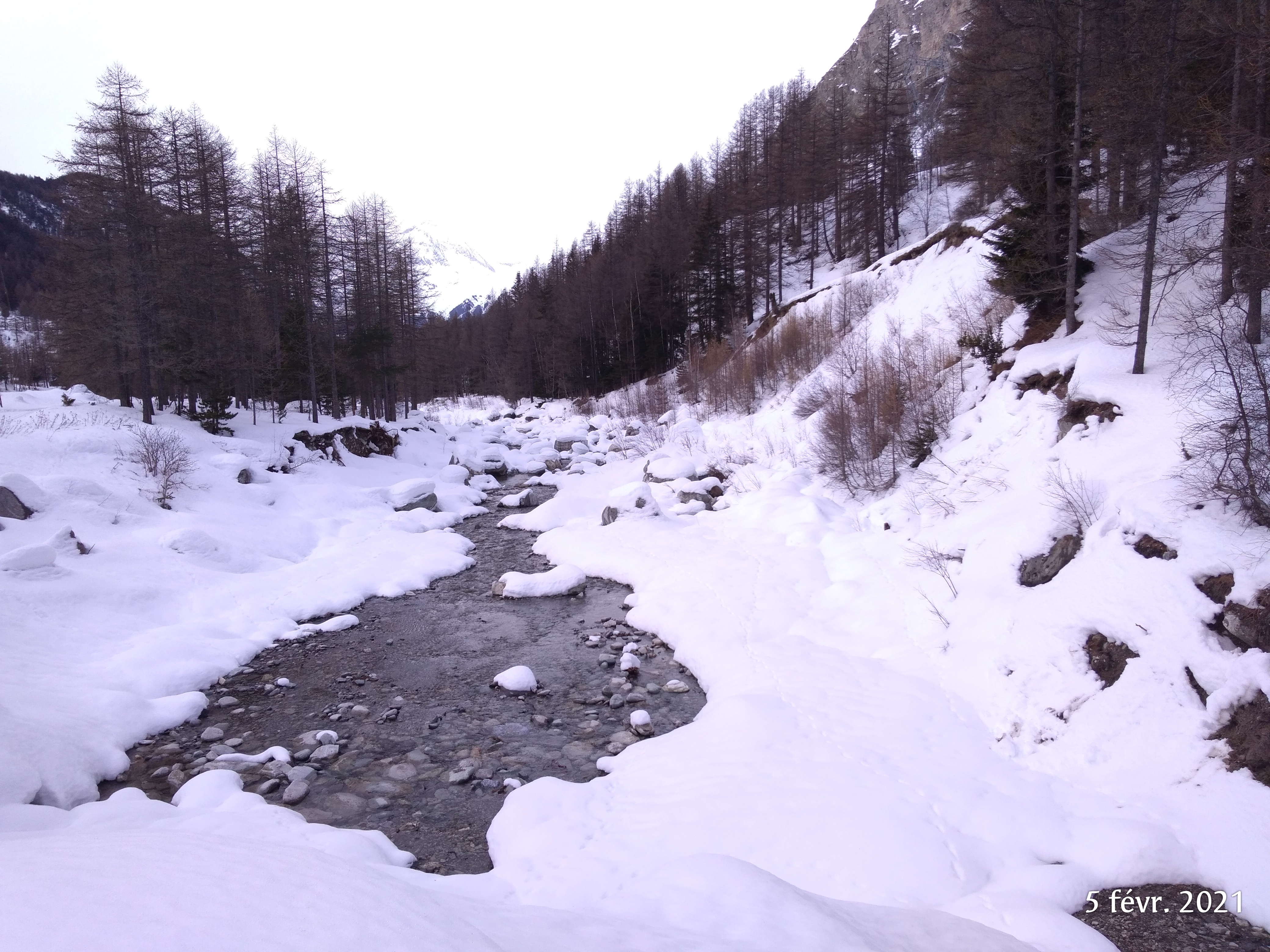 Photo n° 1 de l'avis de Thierry.e fait le 06/02/2021 à 19:55