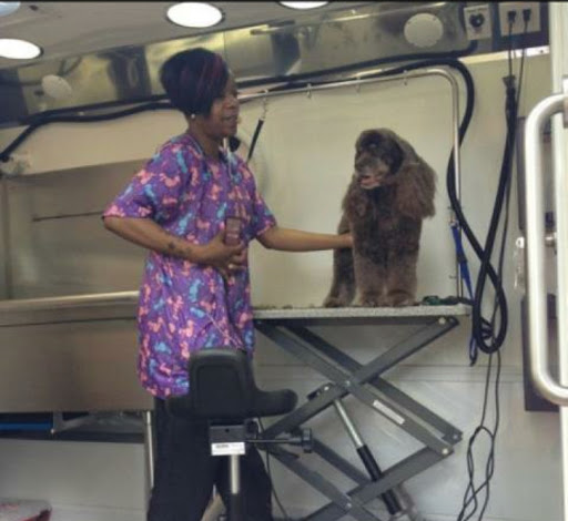 Pet Groomer «The Pet Set - Buckhead», reviews and photos, 2480 Briarcliff Rd NE #3, Atlanta, GA 30329, USA