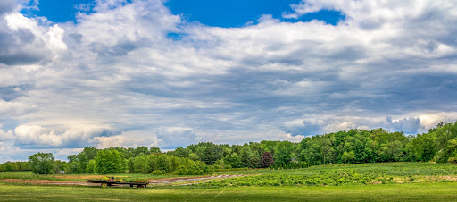 Produce Market «Solly Brothers», reviews and photos, 707 Almshouse Rd, Warminster, PA 18974, USA