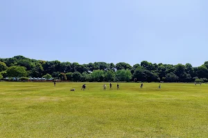 Oyama General Park image
