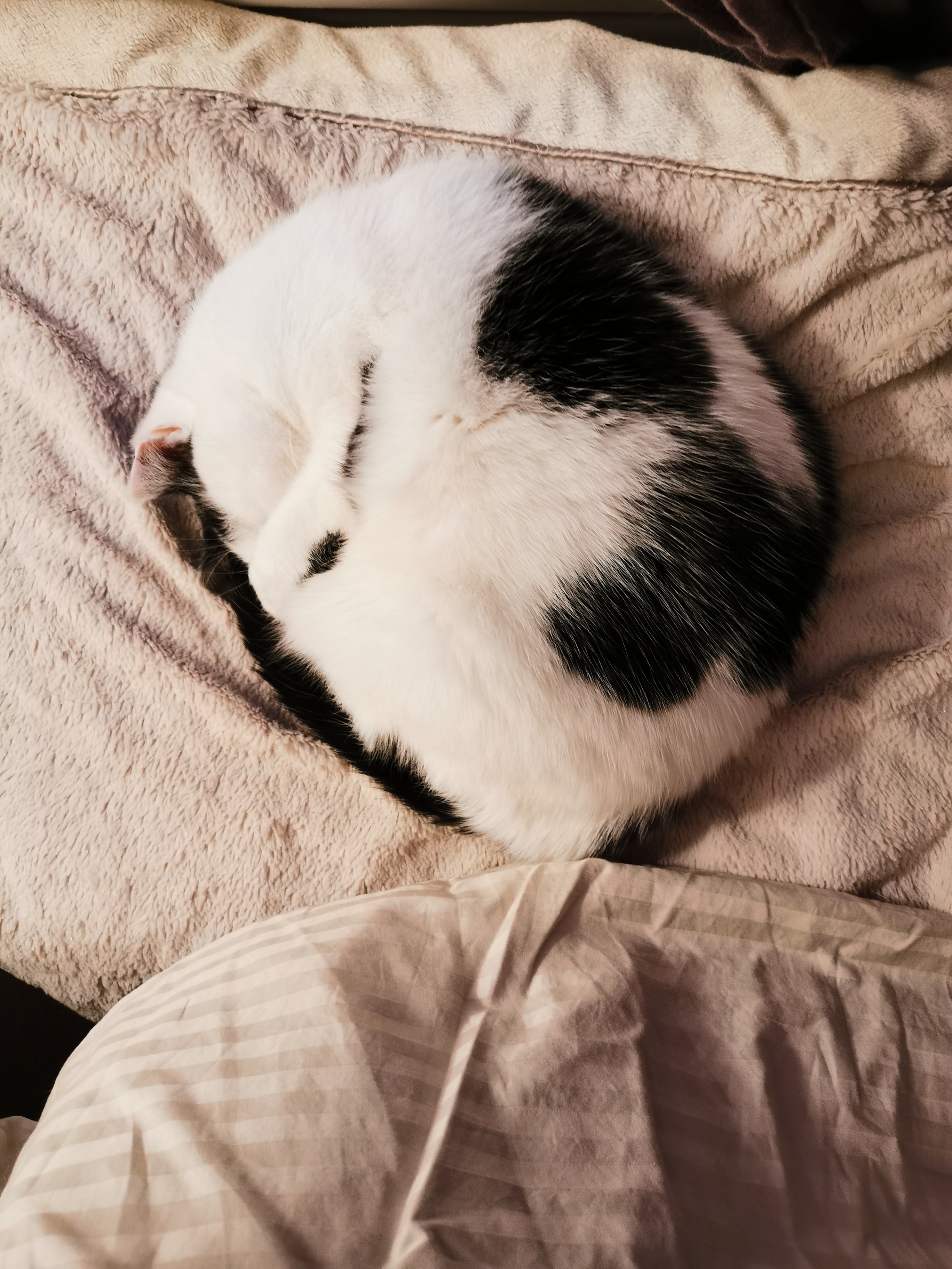 Photo n° 1 de l'avis de Grégory.o fait le 18/12/2021 à 21:17