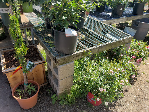 Florist «Nunan Florist & Greenhouses», reviews and photos, 269 Central St, Georgetown, MA 01833, USA