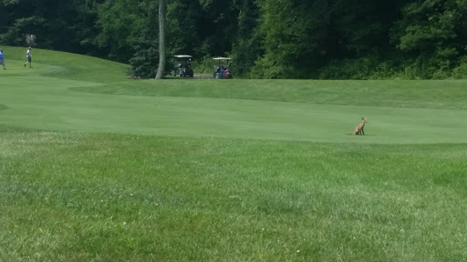 Golf Club «Cape May National Golf Club», reviews and photos, 834 Florence Avenue, Cape May, NJ 08204, USA