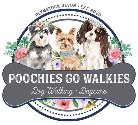 Poochies go Walkies - Dog trainer