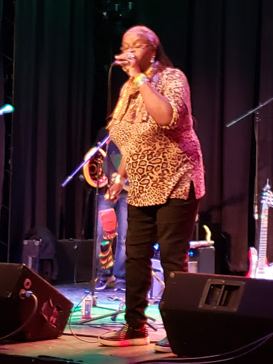 Live Music Venue «Park Theatre», reviews and photos, 248 S River Ave, Holland, MI 49423, USA