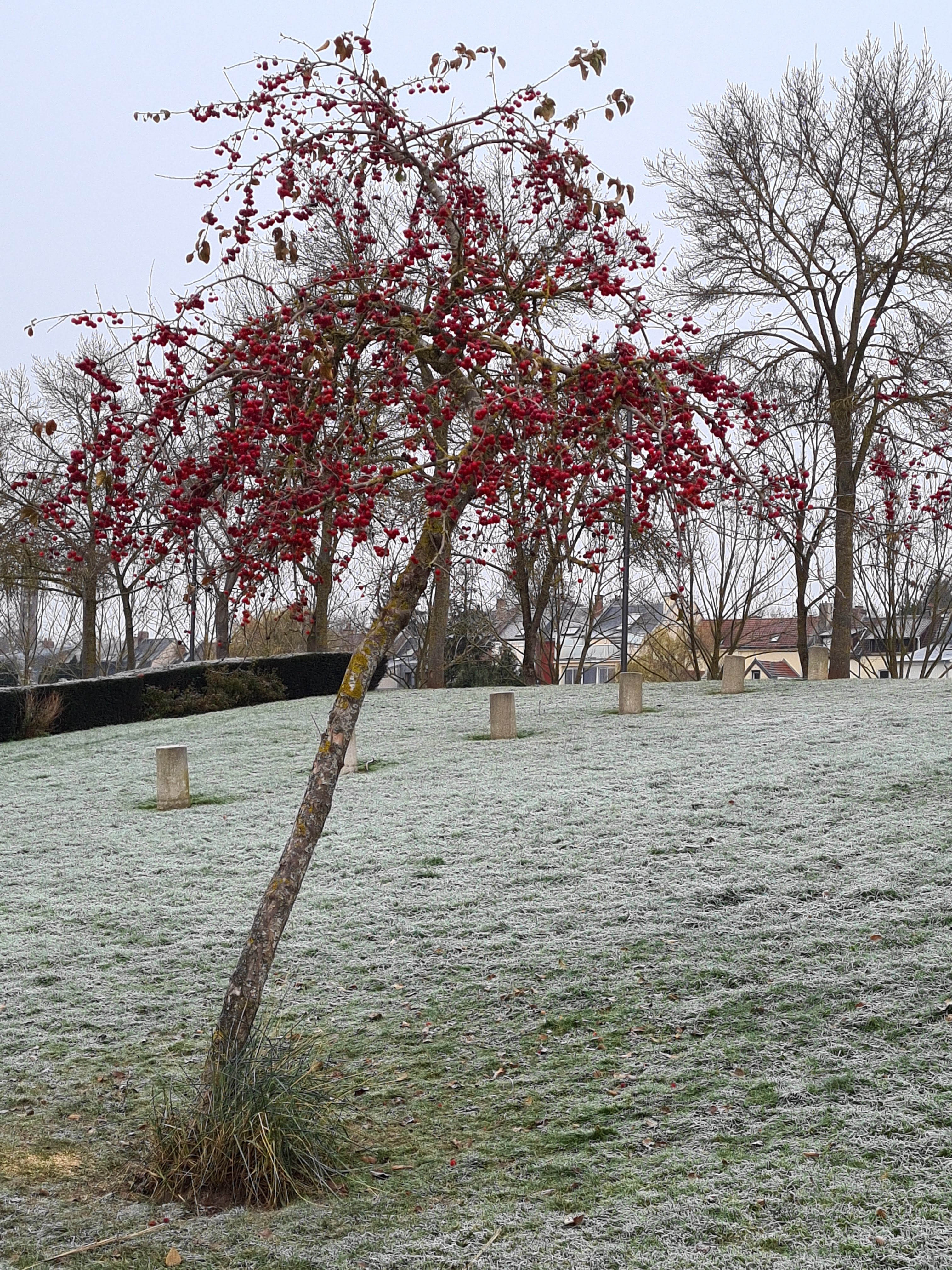 Photo n° 7 de l'avis de Sandrine.y fait le 22/12/2022 à 07:43